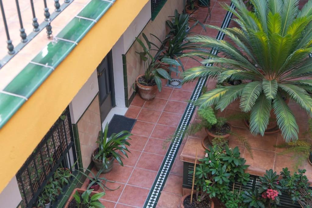 Apartamento Junto A Las Setas De Sevilla Extérieur photo